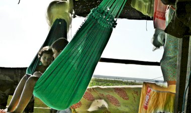 O GARROTE NA REGIÃO DOS LAGOS DE AMAPÁ