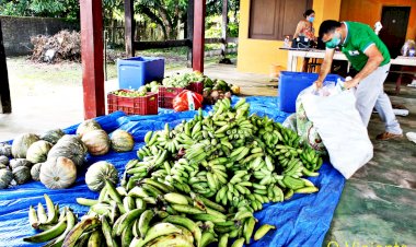 PAA EM AMAPÁ, COLETA E DISTRIBUIÇÃO