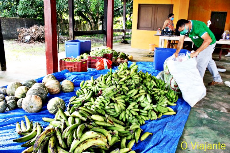 PAA EM AMAPÁ, COLETA E DISTRIBUIÇÃO