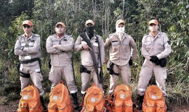 Retorno oficial das buscas aos meninos, Renato e Fabrício, perdidos nas matas de Calçoene.