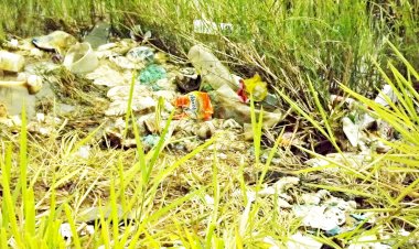 LIXEIRA VICIADA EM MARGEM DA AP 426 EM AMAPÁ