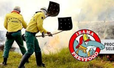 IBAMA DIVULGA EDITAL DE PROCESSO SELETIVO SIMPLIFICADO PARA BRIGADISTA COM LOTAÇÃO NO ASSENTAMENTO DO INCRA-PIQUIÁ