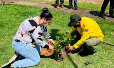 Palestra e plantio de mudas marca o dia Mundial do Meio Ambiente em Amapá