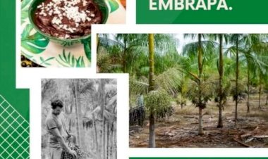 Estudantes de Agronomia terão aula de campo