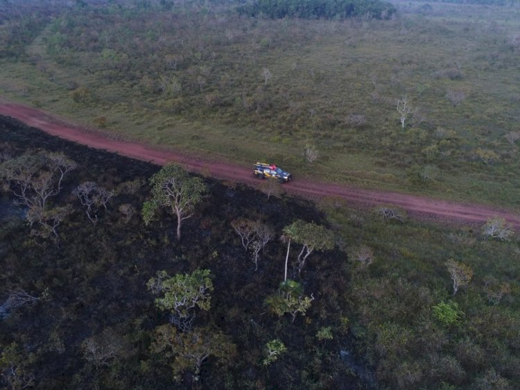 Ação da Operação Amapá Verde em Amapá.