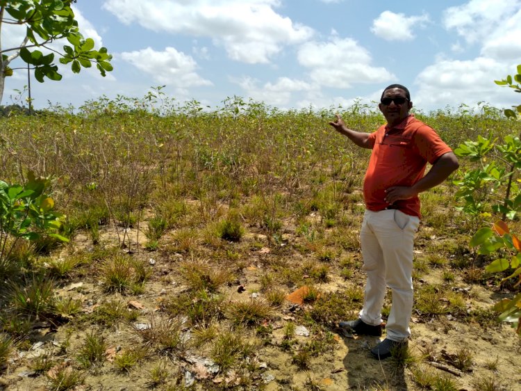 Um ano de arado com resultados positivos para agricultura familiar de Amapá