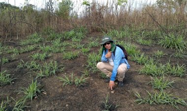 Encontrado Sitio Arqueológico do tipo Cerâmico Céu- Aberto em Amapá