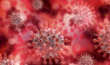 O que se sabe até agora sobre a nova variante do coronavírus detectada na África do Sul