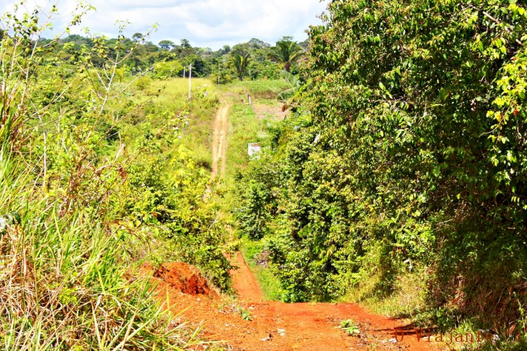 Encontrado Sitio Arqueológico do tipo Cerâmico Céu- Aberto em Amapá   