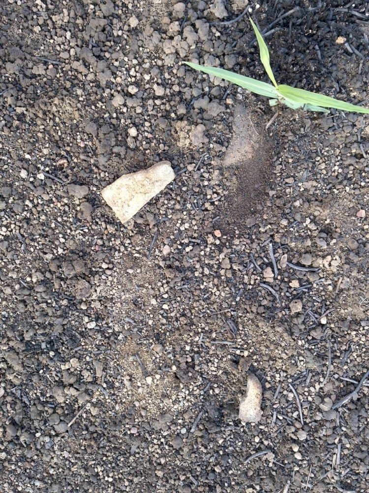 Encontrado Sitio Arqueológico do tipo Cerâmico Céu- Aberto em Amapá   