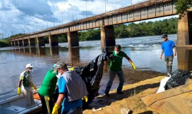 Operação retira mais de 2 toneladas de animais mortos do Rio Amapari