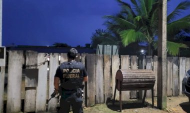 PF combate desmatamento em Unidade de Conservação Nacional