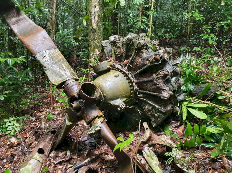 Exercito brasileiro encontra aeronave sumida durante a 2° guerra mundial
