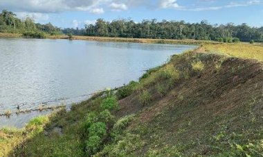 Justiça do Amapá mantém condenação em primeiro grau de mineradoras por danos ambientais em Pedra Branca do Amapari