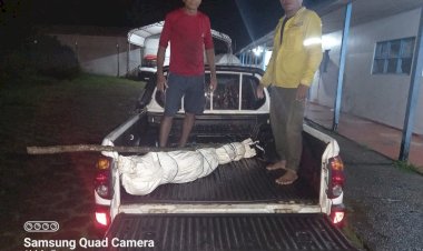 Brigadistas do ICMBIO encontram corpo em estado de decomposição próximo à ilha Maracá