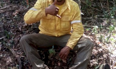 Brigadista do icmbio morre e aguarda laudo da politec