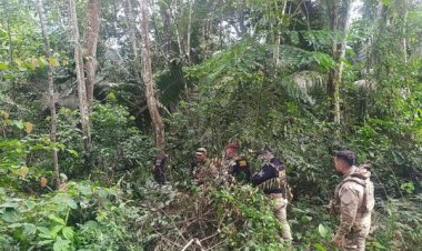 PF investiga crime em reserva indígena da região leste do Pará