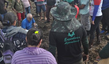 Execução do projeto Reniva Amapá   