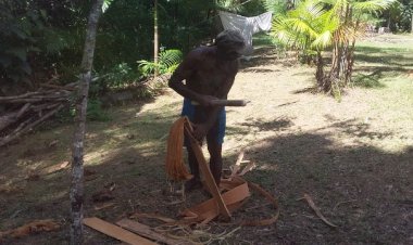 O CULTIVO DO TAUARI UMA HERANÇA FAMILIAR