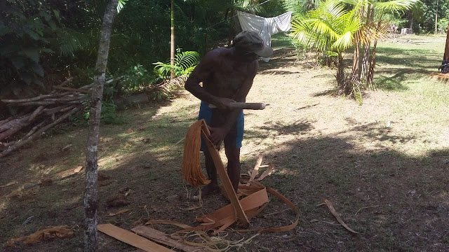 O CULTIVO DO TAUARI UMA HERANÇA FAMILIAR