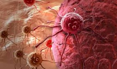 O câncer é o principal problema de saúde pública