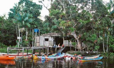 Movimento Plantaformas: um novo jeito de fazer mobilização popular   