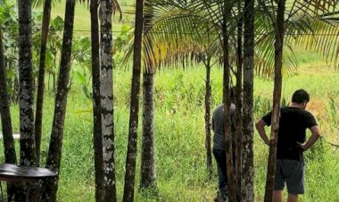 Prefeitura de Amapá apura denúncia de poluição ambiental.