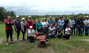UEAP REGIÃO DOS LAGOS: TRABALHA IMPLANTAÇÃO DE UNIDADE DE REFERÊNCIA TECNOLÓGICA DE AÇAÍ DE TERRA FIRME.