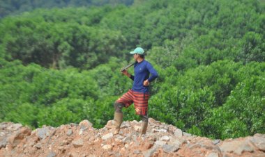 A história e os desafios do garimpo na Vila do Lourenço, Amapá