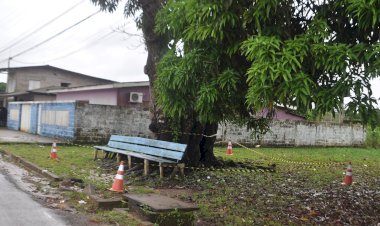Uma das Mangueiras símbolo do bairro está em risco de queda.