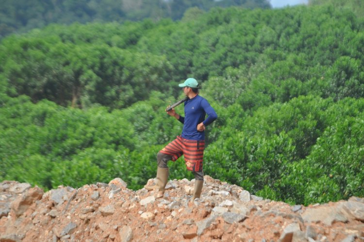 A história e os desafios do garimpo na Vila do Lourenço, Amapá