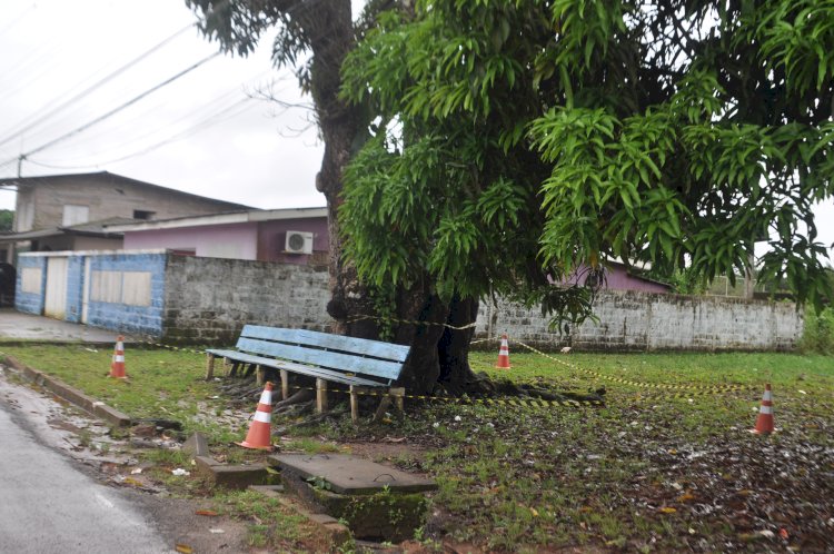 Uma das Mangueiras símbolo do bairro está em risco de queda.