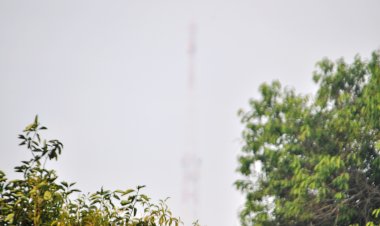 Fumaça de Incêndio Assola Amapá: População Sofre com Impactos na Saúde   