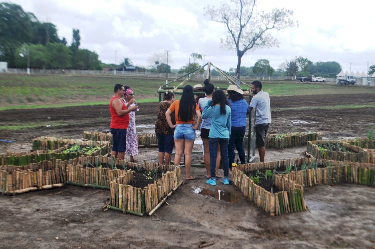 Estudantes de Engenharia Agronômica da UEAP na Região dos Lagos Inovam com Projeto na AgroPesc