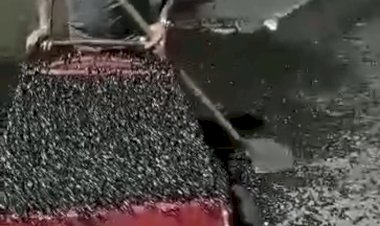 Município de Amapá Experimenta Noite de Horror com Nuvem de Cartorra