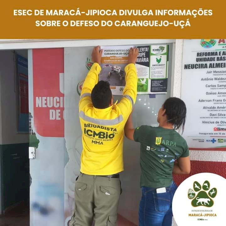 Matéria: ICMBio Conscientiza População de Amapá sobre Defeso do Caranguejo-uçá