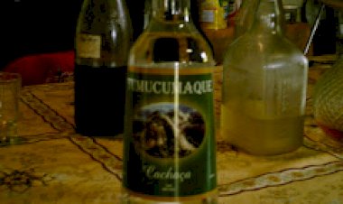 Explorando o Passado: Uma Aventura nas Terras da Serra do Navio