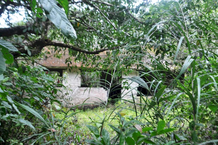 Base Aérea de Amapá: Um Marco Histórico na Amazônia