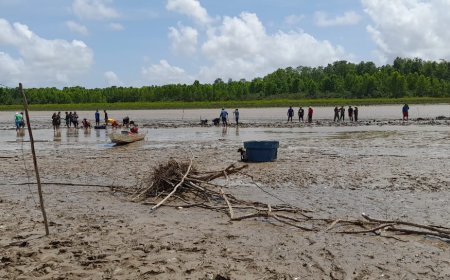 Comunidades do Bailique se unem para manter o Canal do Livramento navegável!