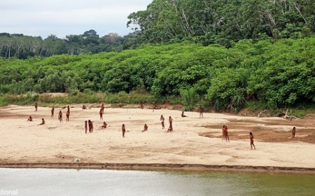 Presença de Madeireiros Provoca Conflito com Indígenas Isolados Mashco-Piro na Fronteira Brasil-Peru