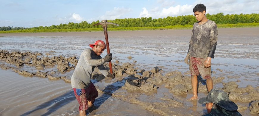 Comunidades do Bailique se unem para manter o Canal do Livramento navegável!