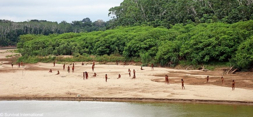 Presença de Madeireiros Provoca Conflito com Indígenas Isolados Mashco-Piro na Fronteira Brasil-Peru