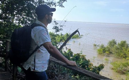Explorando a Trilha de Montabo: Um Refúgio Natural à Beira-Mar de Caiena