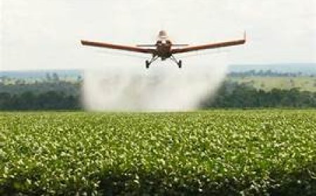 Glifosato Está Causando Câncer nos Povos da Amazônia