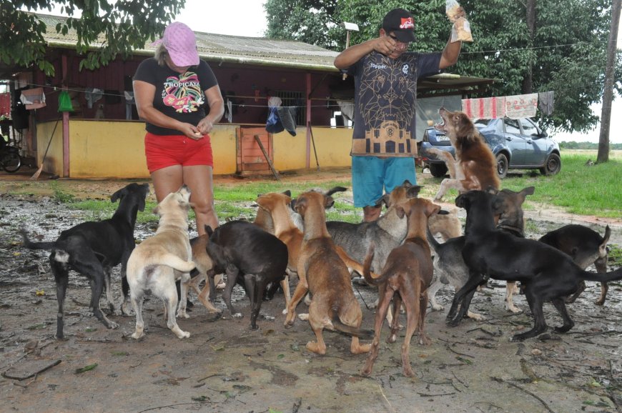 Professora de Amapá dedica sua vida ao resgate e cuidado de animais abandonados