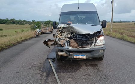 Alerta sobre acidentes na estrada: Van escolar colide com gado no ramal da Base no município de Amapá.