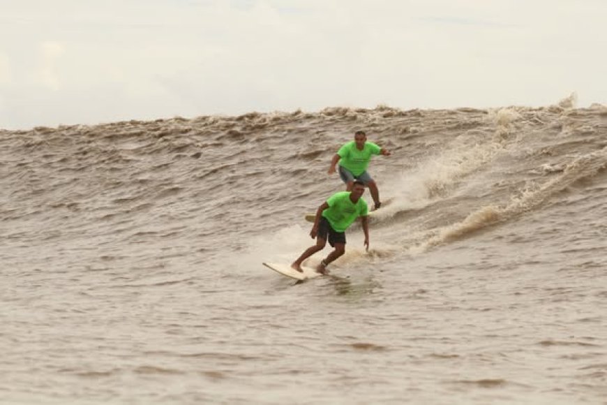 Pororoca do Marajó uma experiência inesquecível!