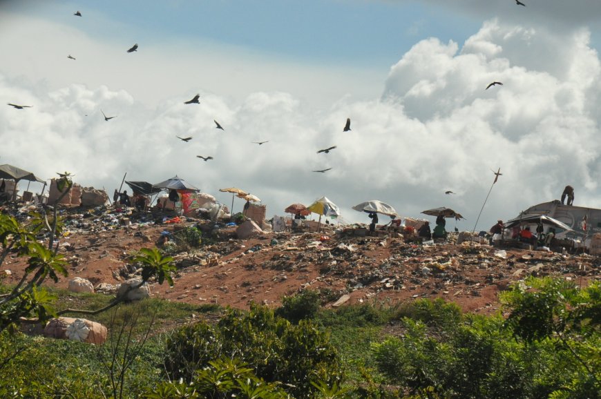 Racismo Ambiental: a dura realidade da comunidade de Ilha Redonda
