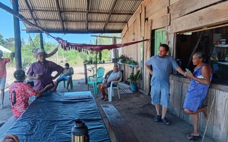 O preço do aço e do papel no Maranhão: devastação, grilagem e resistência Caminhões que movem impérios