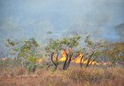  Rota do Fogo: queimadas avançam pela BR-210 e preocupam moradores do norte do Amapá